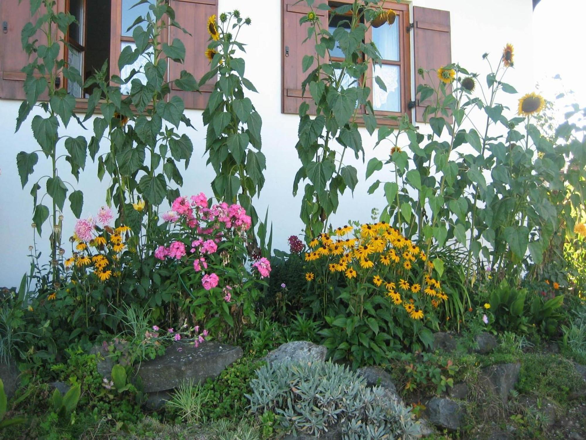 Apartment In The Allg U With View Of The Bavarian Alps Bernbeuren Luaran gambar