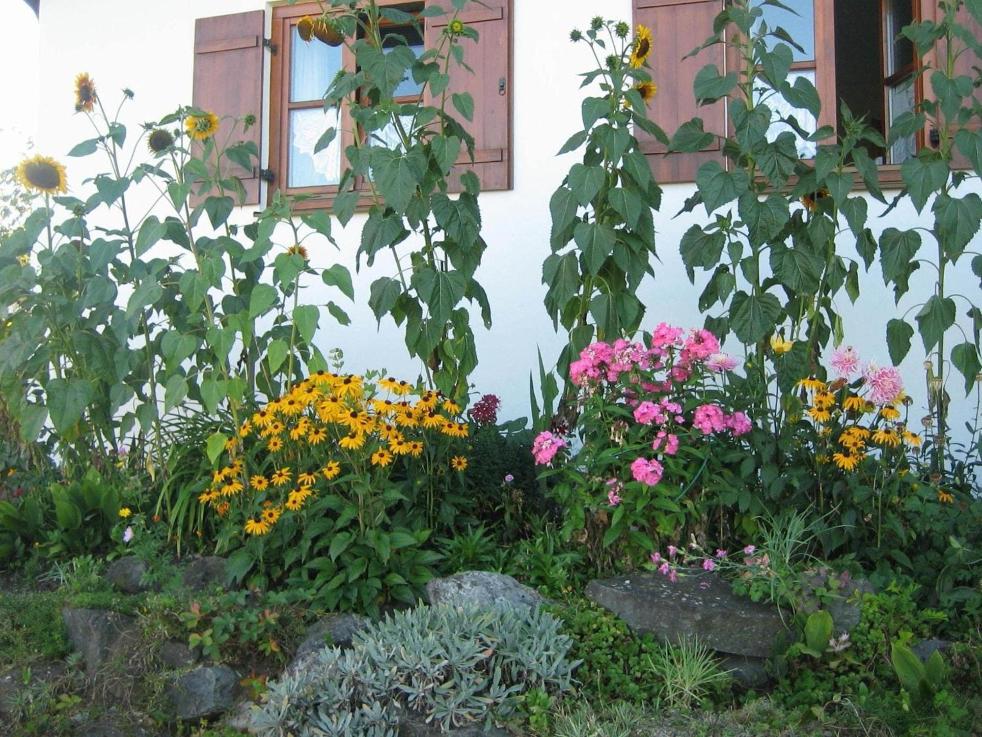 Apartment In The Allg U With View Of The Bavarian Alps Bernbeuren Luaran gambar